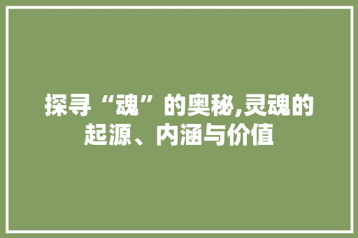 探寻“魂”的奥秘,灵魂的起源、内涵与价值