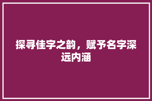 探寻佳字之韵，赋予名字深远内涵