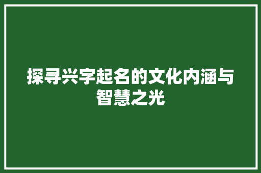 探寻兴字起名的文化内涵与智慧之光