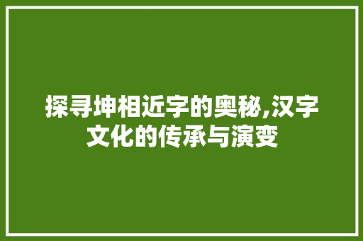 探寻坤相近字的奥秘,汉字文化的传承与演变