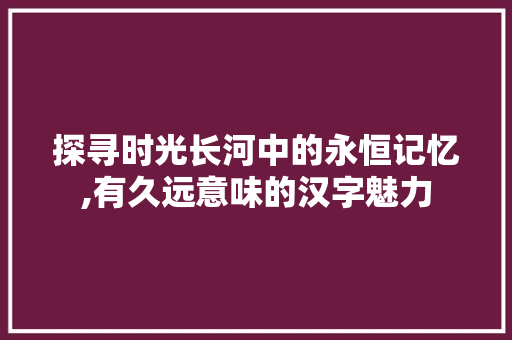 探寻时光长河中的永恒记忆,有久远意味的汉字魅力
