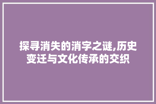 探寻消失的消字之谜,历史变迁与文化传承的交织