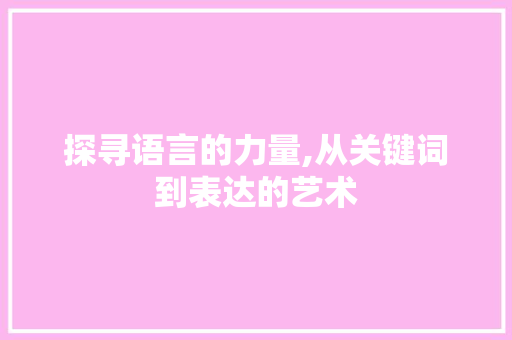 探寻语言的力量,从关键词到表达的艺术