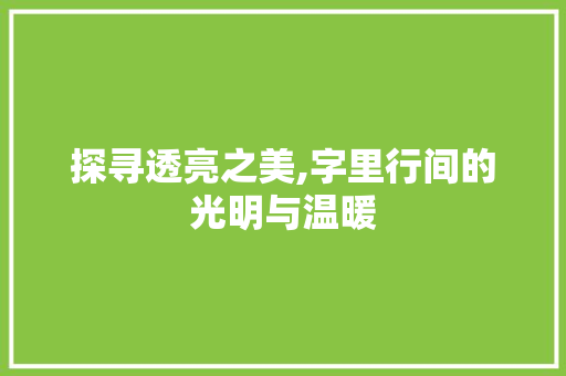 探寻透亮之美,字里行间的光明与温暖