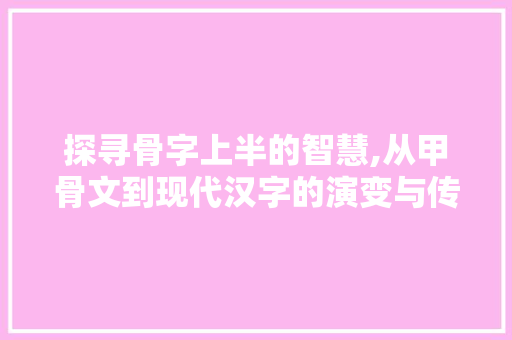 探寻骨字上半的智慧,从甲骨文到现代汉字的演变与传承