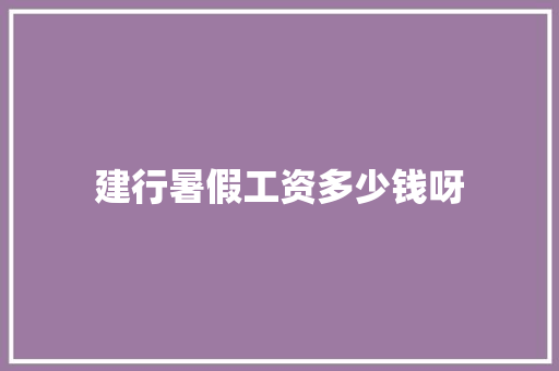 建行暑假工资多少钱呀