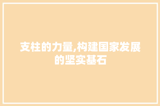 支柱的力量,构建国家发展的坚实基石