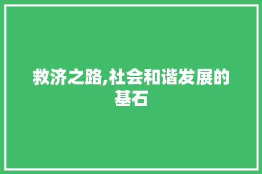 救济之路,社会和谐发展的基石