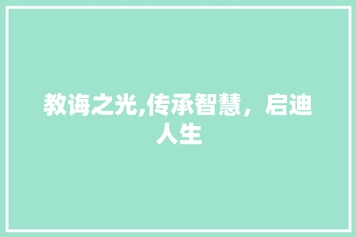 教诲之光,传承智慧，启迪人生