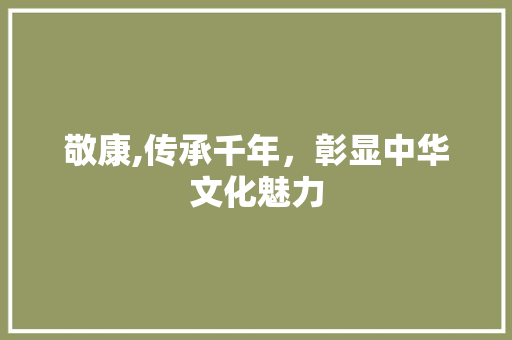 敬康,传承千年，彰显中华文化魅力