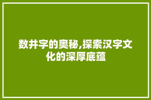数井字的奥秘,探索汉字文化的深厚底蕴