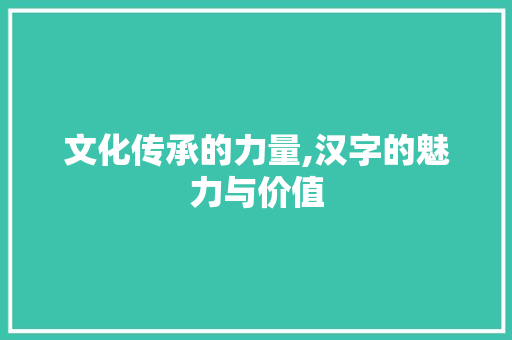 文化传承的力量,汉字的魅力与价值