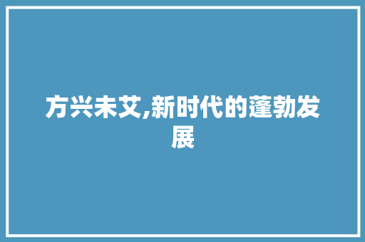 方兴未艾,新时代的蓬勃发展