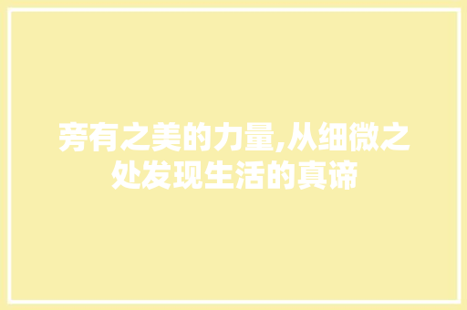 旁有之美的力量,从细微之处发现生活的真谛