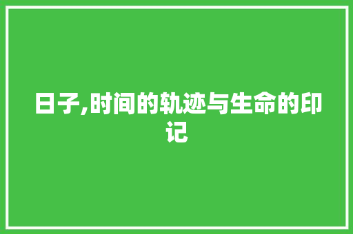 日子,时间的轨迹与生命的印记