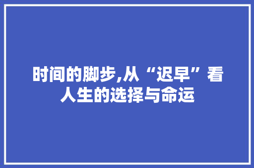 时间的脚步,从“迟早”看人生的选择与命运