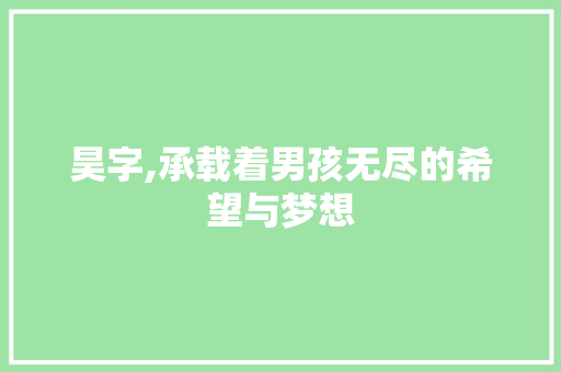 昊字,承载着男孩无尽的希望与梦想