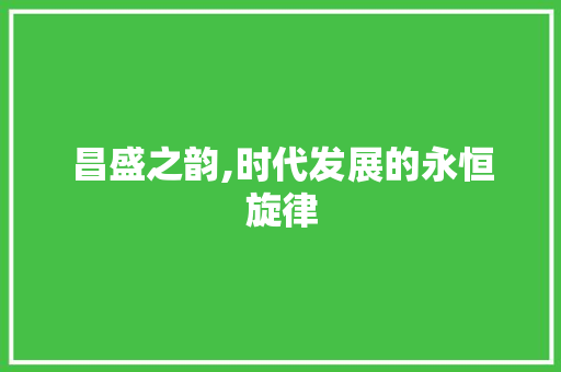 昌盛之韵,时代发展的永恒旋律