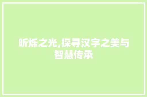 昕烁之光,探寻汉字之美与智慧传承
