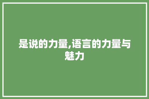 是说的力量,语言的力量与魅力