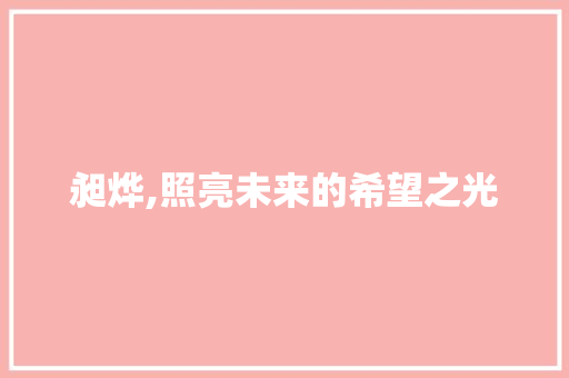 昶烨,照亮未来的希望之光