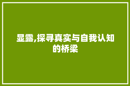 显露,探寻真实与自我认知的桥梁
