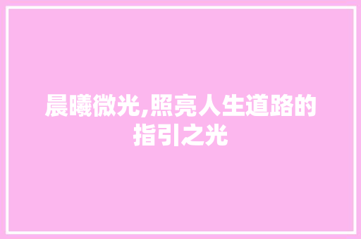 晨曦微光,照亮人生道路的指引之光