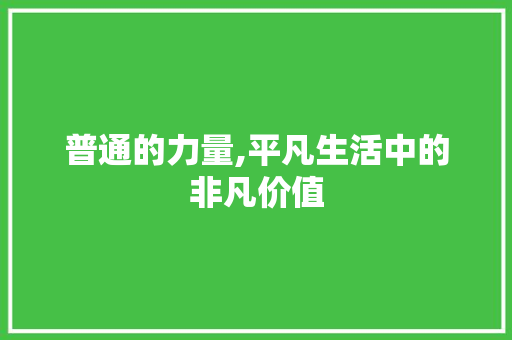 普通的力量,平凡生活中的非凡价值