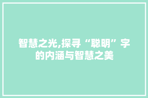 智慧之光,探寻“聪明”字的内涵与智慧之美