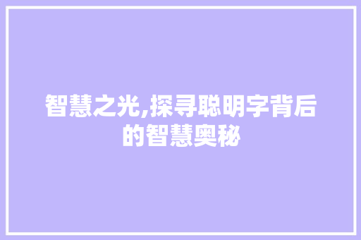 智慧之光,探寻聪明字背后的智慧奥秘