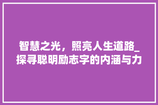 智慧之光，照亮人生道路_探寻聪明励志字的内涵与力量