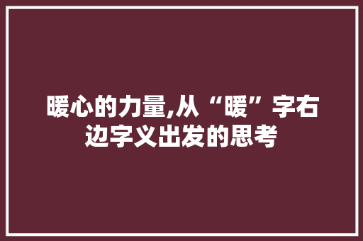 暖心的力量,从“暖”字右边字义出发的思考