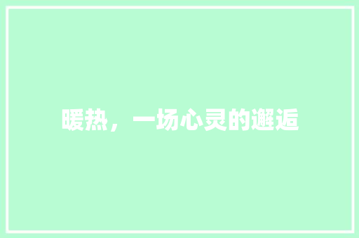 暖热，一场心灵的邂逅