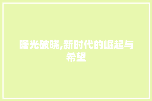 曙光破晓,新时代的崛起与希望