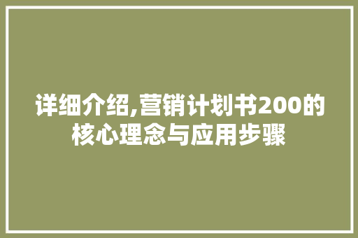 详细介绍,营销计划书200的核心理念与应用步骤