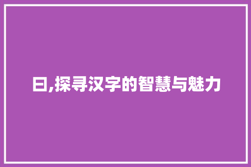 曰,探寻汉字的智慧与魅力