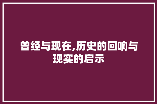 曾经与现在,历史的回响与现实的启示