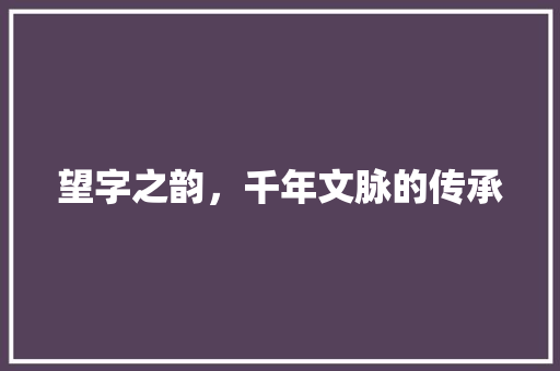 望字之韵，千年文脉的传承
