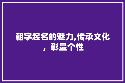 朝字起名的魅力,传承文化，彰显个性