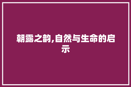 朝露之韵,自然与生命的启示