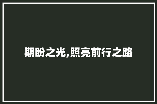 期盼之光,照亮前行之路