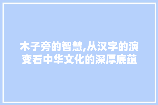 木子旁的智慧,从汉字的演变看中华文化的深厚底蕴