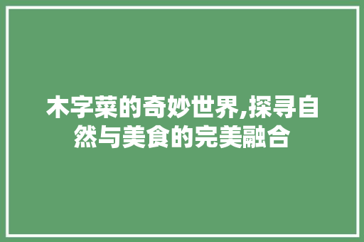 木字菜的奇妙世界,探寻自然与美食的完美融合