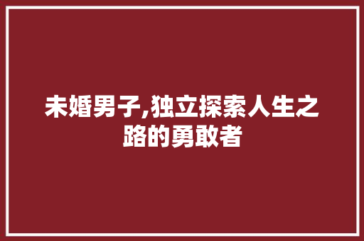 未婚男子,独立探索人生之路的勇敢者