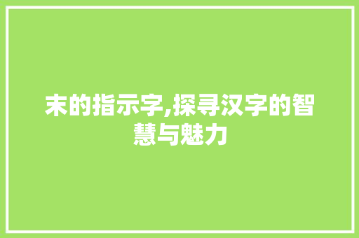 末的指示字,探寻汉字的智慧与魅力