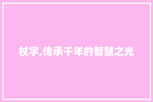 杖字,传承千年的智慧之光