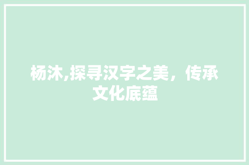 杨沐,探寻汉字之美，传承文化底蕴