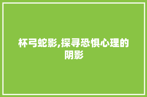 杯弓蛇影,探寻恐惧心理的阴影