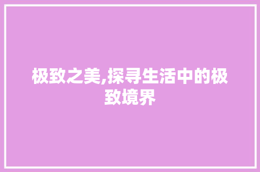 极致之美,探寻生活中的极致境界