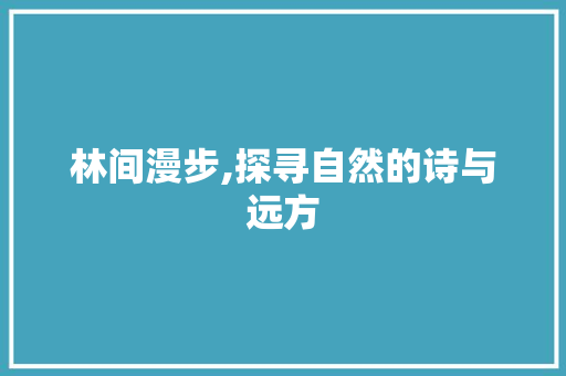 林间漫步,探寻自然的诗与远方
